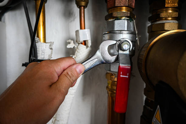 Best Affordable Plumbing Services  in Linntown, PA